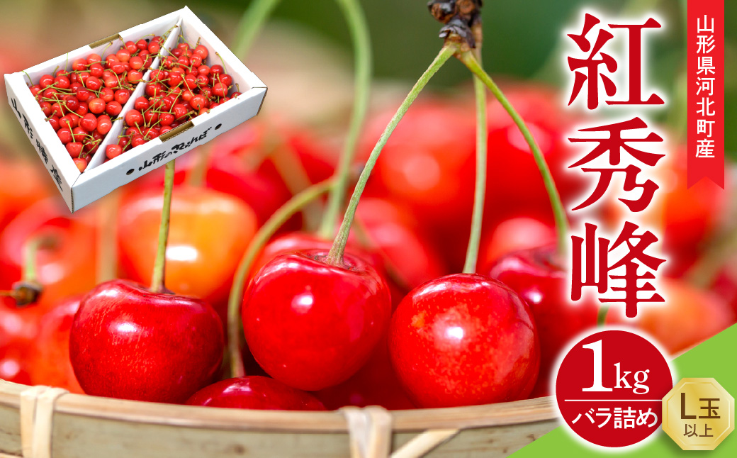 【令和9年産】さくらんぼ 紅秀峰 1kg バラ詰め L玉以上 ギフト箱入 秀品 山形県産【山形eLab】 ka074-057