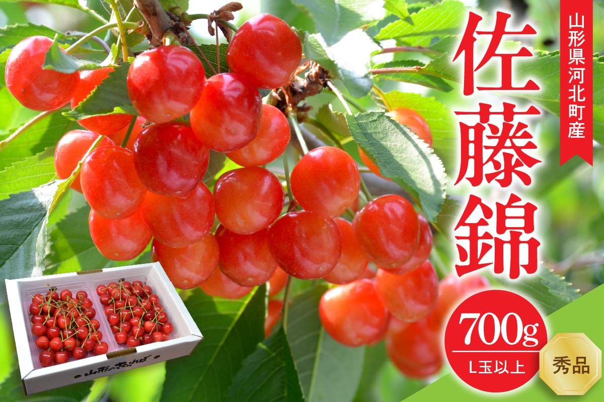 【令和9年産】さくらんぼ 佐藤錦 700g(350g×2パック) L玉以上 ギフト箱入 秀品 山形県産【山形eLab】ka074-052