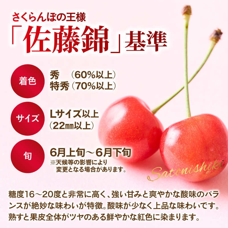 【令和9年産】さくらんぼ食べ比べ「佐藤錦」と「紅秀峰」各500g全2回お届け ka073-018