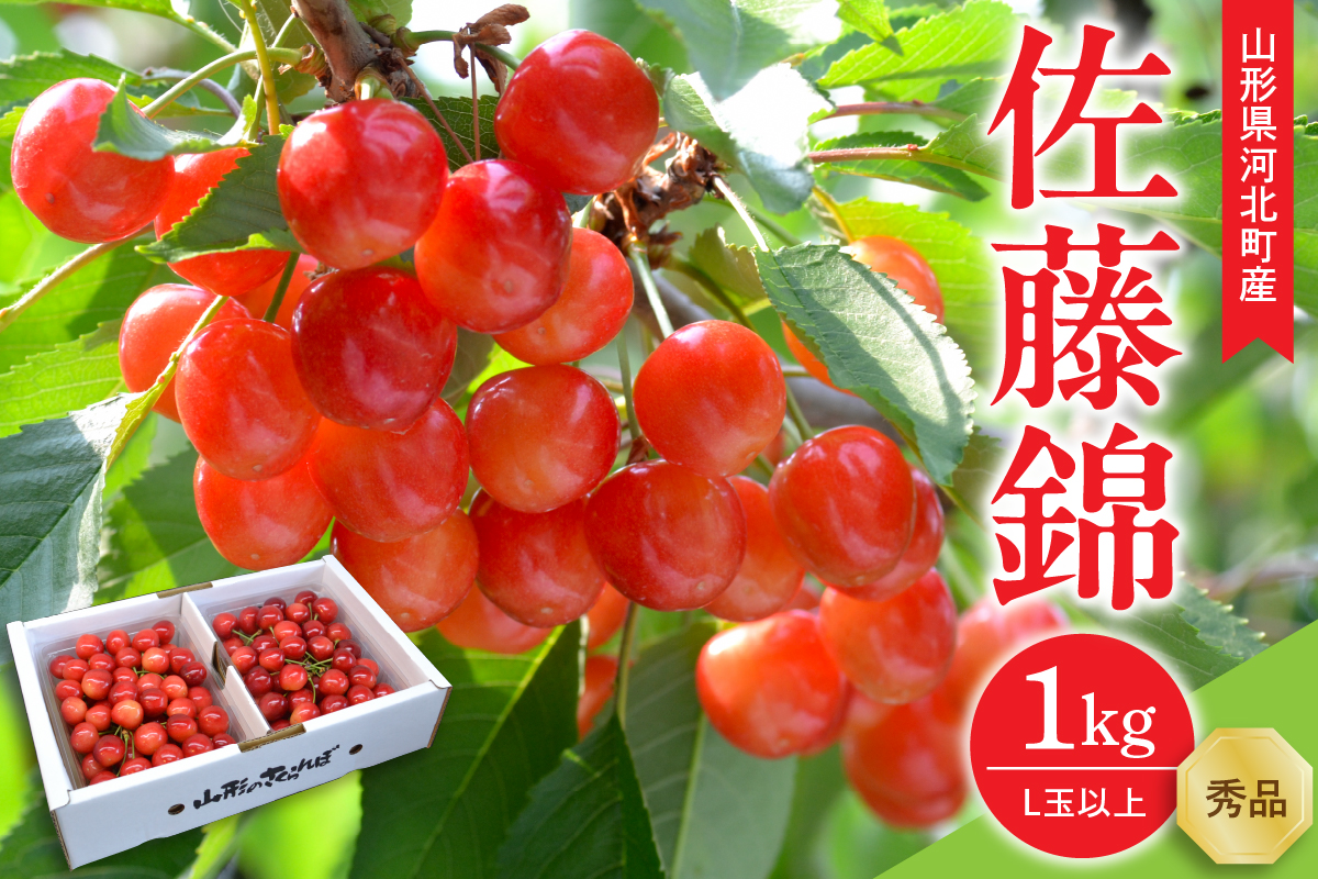 【令和9年産】さくらんぼ 佐藤錦 1kg(500g×2パック) L玉以上 ギフト箱入 秀品 山形県産【山形eLab】 ka074-053