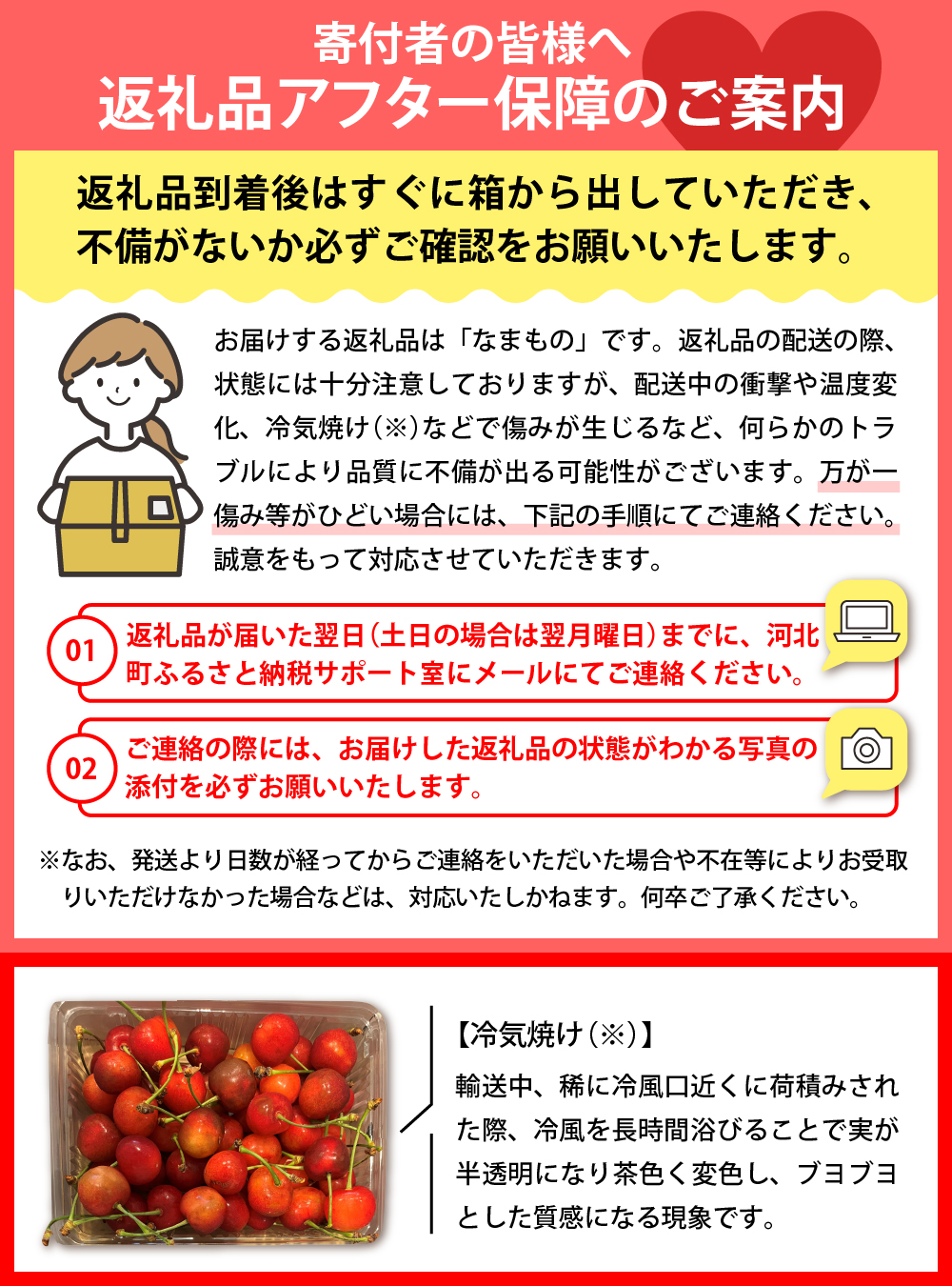 【令和9年産】さくらんぼ 佐藤錦 700g(350g×2パック) L玉以上 ギフト箱入 秀品 山形県産【山形eLab】ka074-052