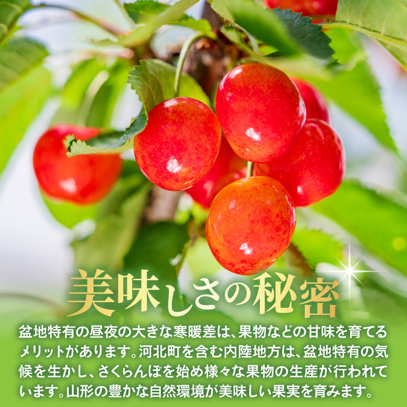 【令和9年産】さくらんぼ 佐藤錦 700g(350g×2パック) L玉以上 ギフト箱入 秀品 山形県産【山形eLab】ka074-052