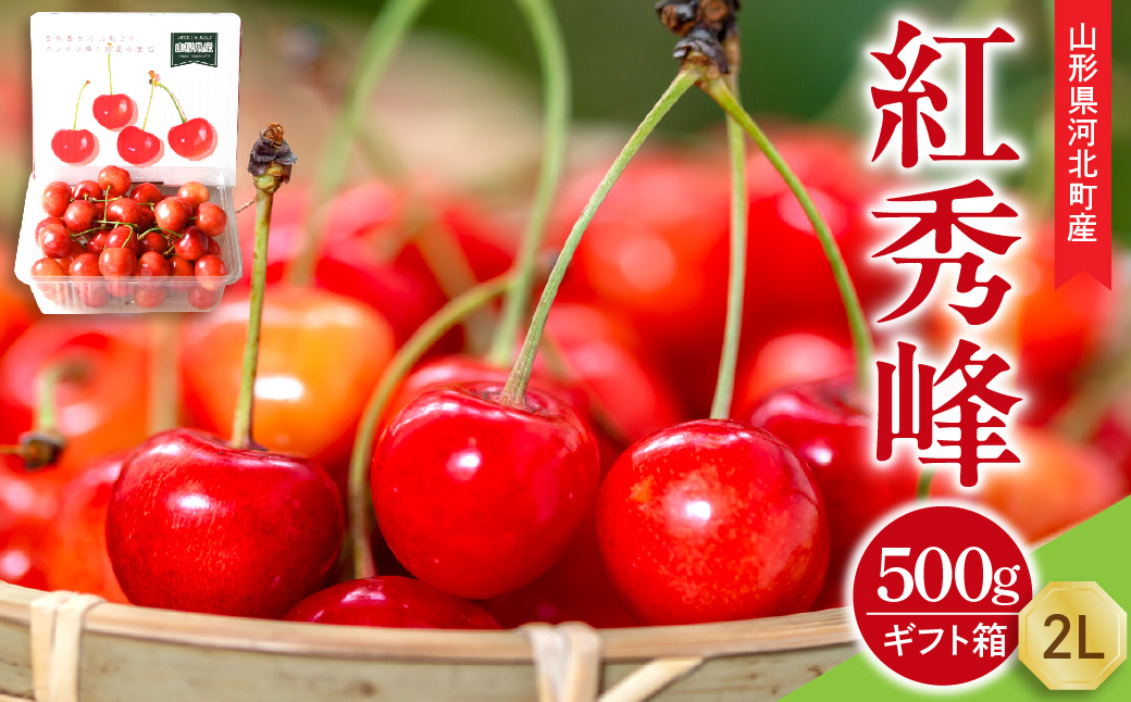 【令和9年産】さくらんぼ 紅秀峰 500g 2L玉 ギフト箱入 秀品 山形県産【山形eLab】ka074-055