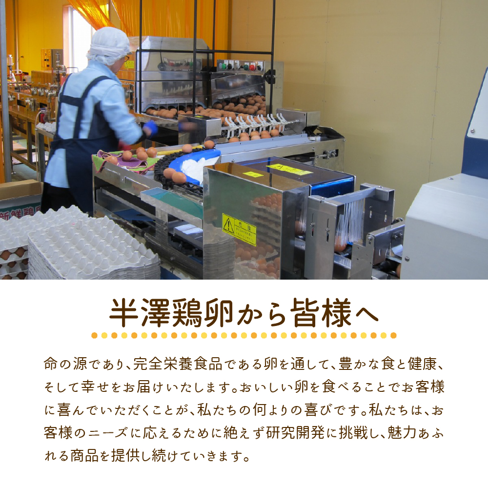 いではのもみじ紅50個入り（破損補償5個を含む）