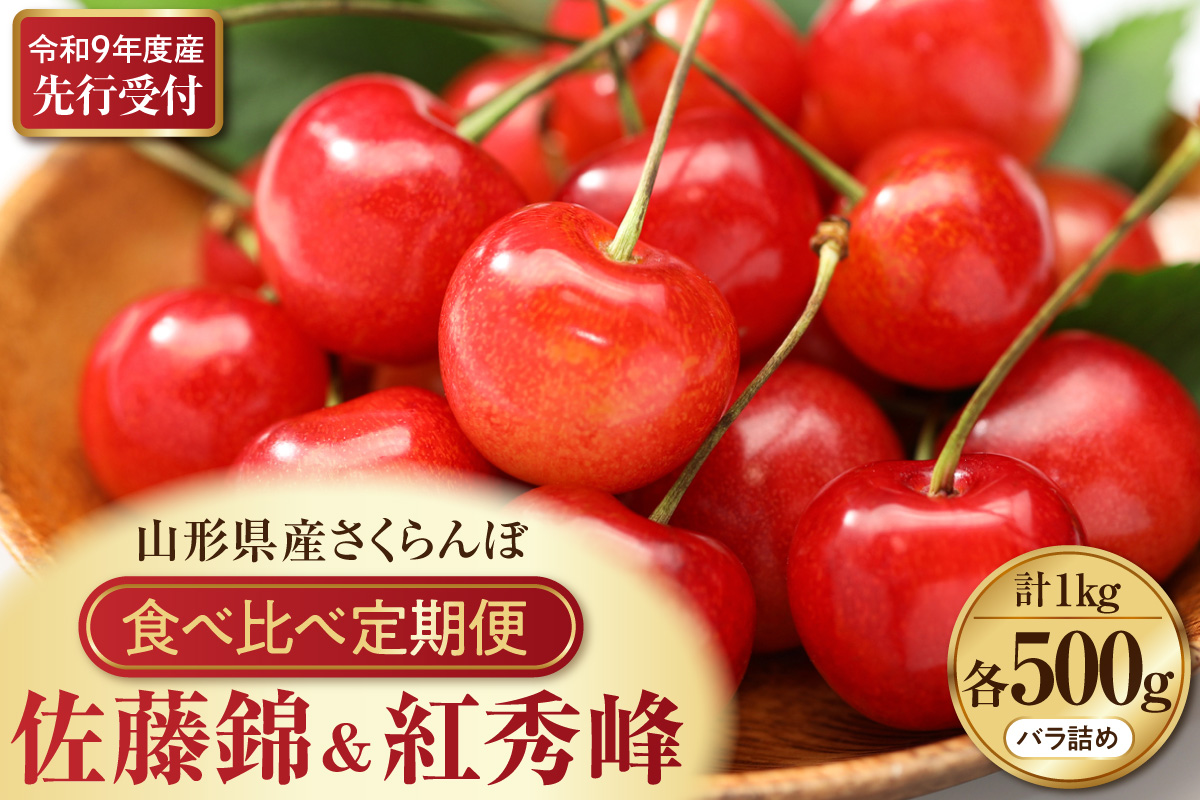 【令和9年産】さくらんぼ食べ比べ「佐藤錦」と「紅秀峰」各500g全2回お届け ka073-018