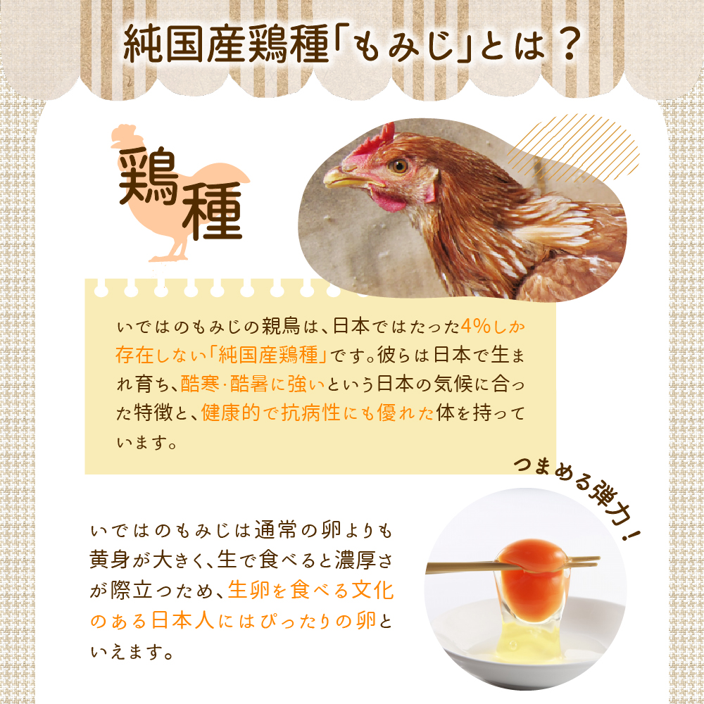 【毎月定期便】いではのもみじ紅25個入り（破損補償3個を含む）×3回