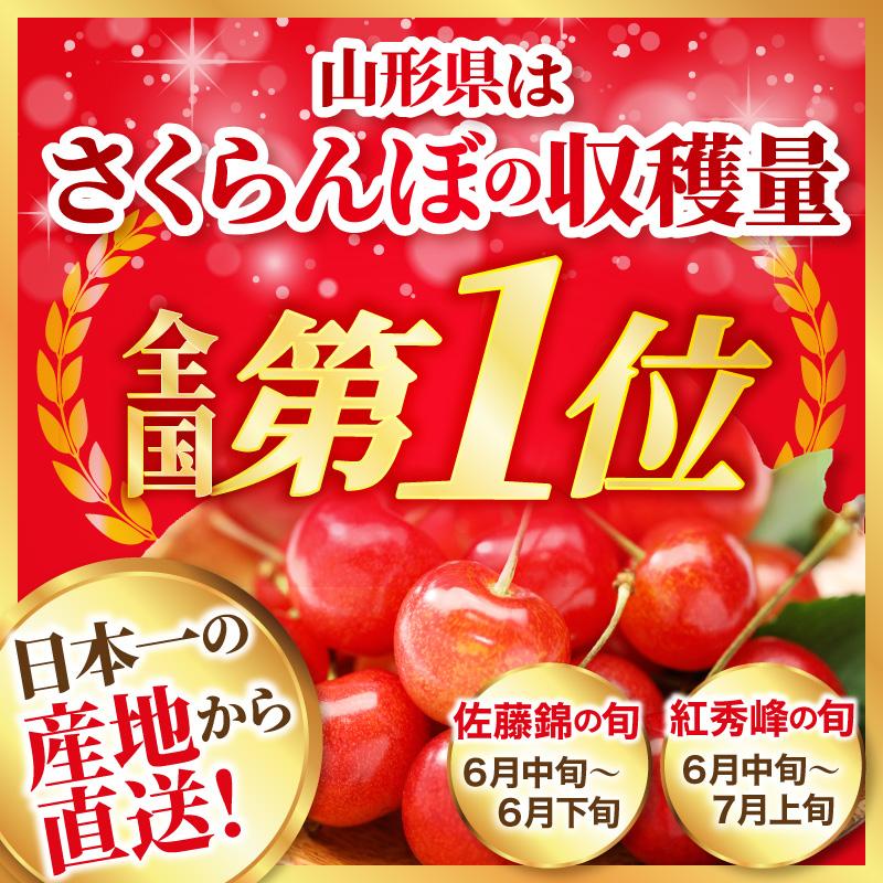 【令和9年産】さくらんぼ食べ比べ「佐藤錦」と「紅秀峰」各500g全2回お届け ka073-018