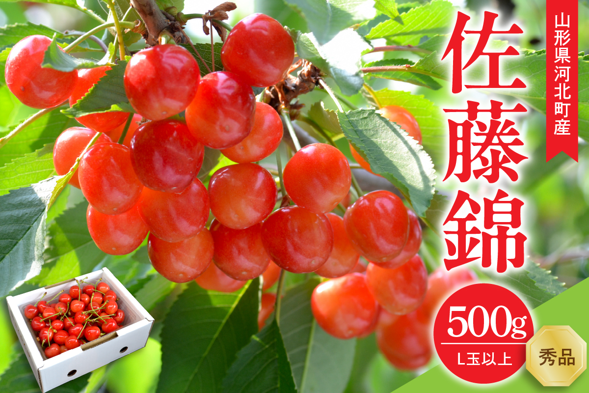 【令和9年産】さくらんぼ 佐藤錦 500g L玉以上 ギフト箱入 秀品 山形県産【山形eLab】ka074-051