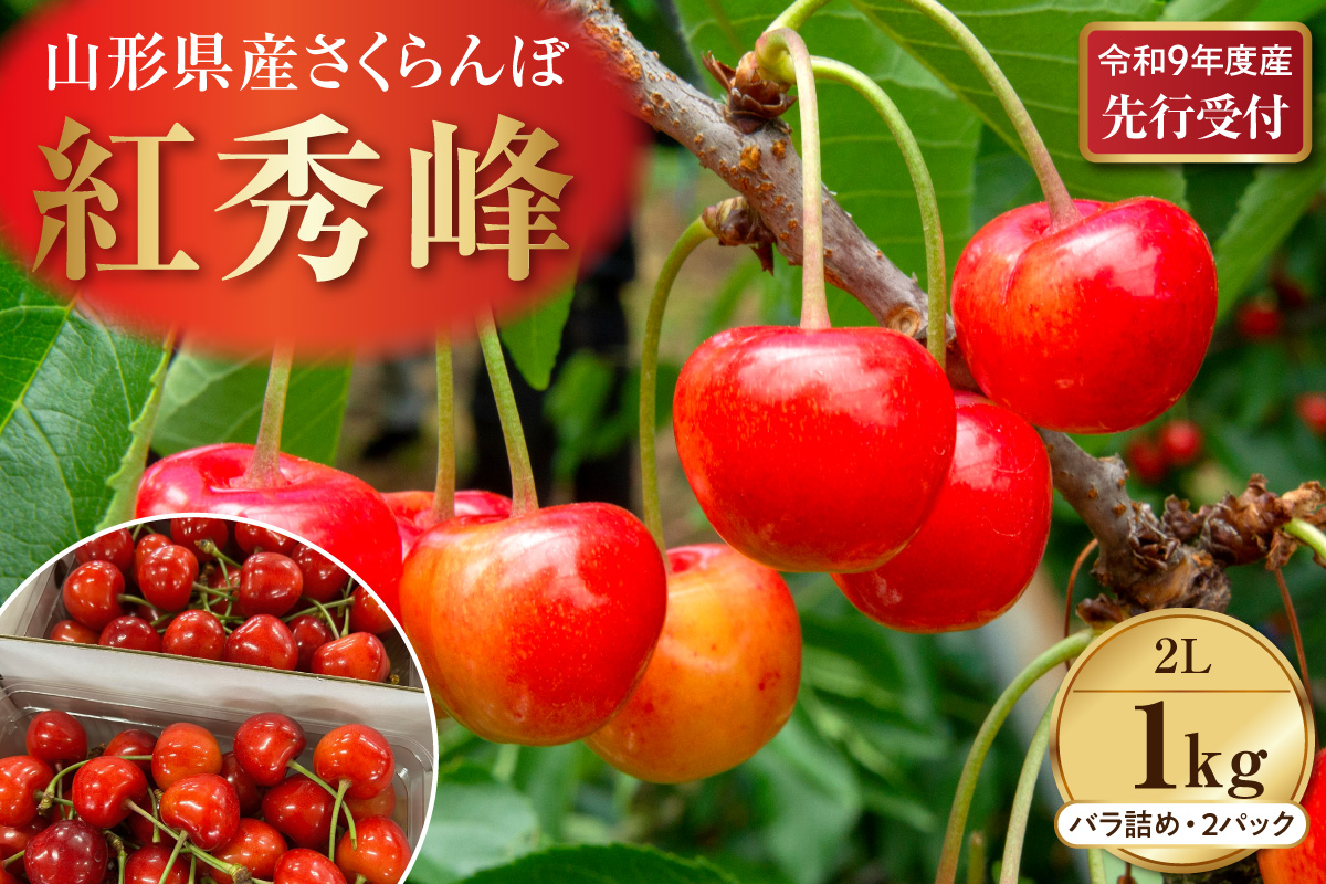 【令和9年産】さくらんぼ「紅秀峰」 秀2L 1kg (500gバラ詰め×2パック) 山形県河北町産 【晴天畑】 ka073-014