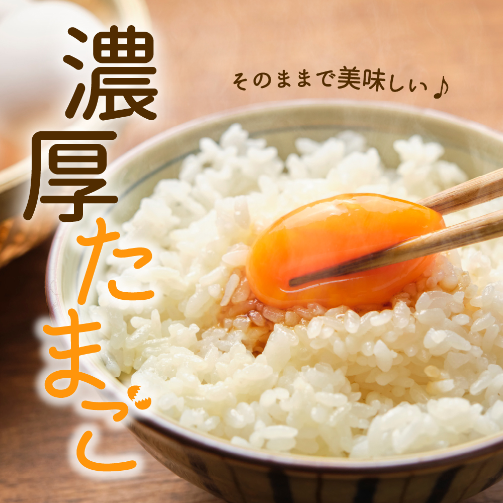 【毎月定期便】いではのもみじ紅25個入り（破損補償3個を含む）×3回