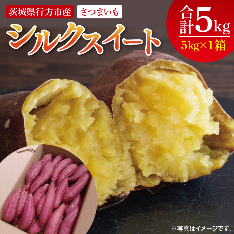 【2026年9月より順次発送】さつまいも(シルクスイート) 約5kg｜さつまいも 芋 サツマイモ シルクスイート 先行予約 茨城県 行方市(HP-2)