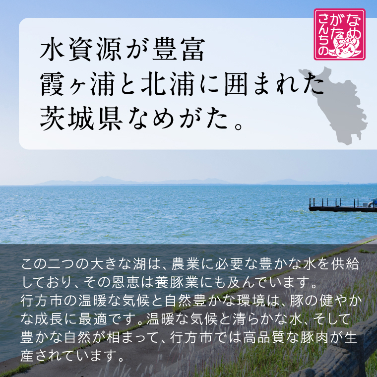 【2026年8月より順次発送】焼売 美明豚「びめいとん」のジューシー焼売2パック（30g×20個×2袋）｜シュウマイ 焼売 美明豚 びめいとん 肉 肉加工品 豚肉 お肉 ジューシー 茨城県 行方市(HJ-1-1)