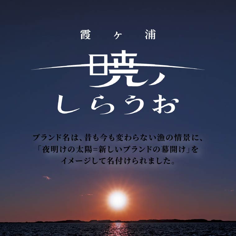 霞ヶ浦　暁のしらうお　約100g×5パック|茨城県 行方市 ふるさと納税 白魚 しらうお 海鮮（GT-6）