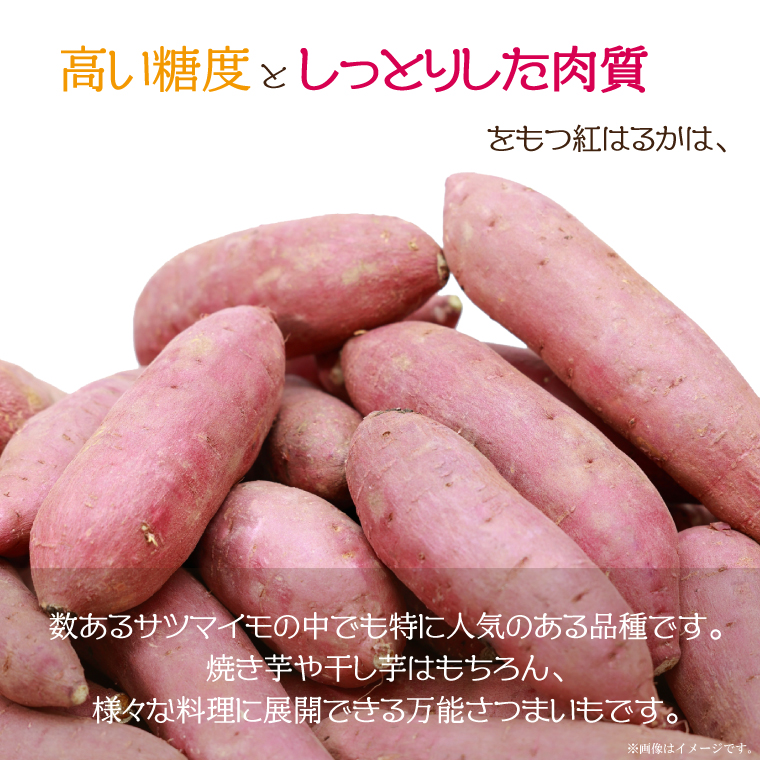 ★訳あり★【2027年1月より順次発送】【訳あり】農産物直売所「やさいの声」熟成紅はるか　洗い　約10kg|さつまいも サツマイモ 紅はるか 熟成 洗い 行方市 ふるさと納税(EK-13)