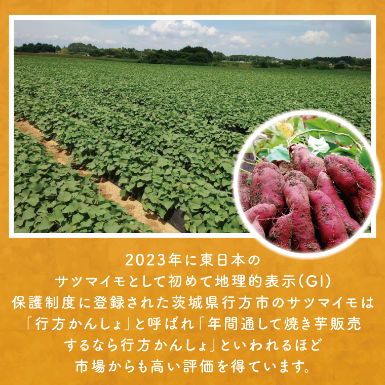 熟成紅はるかの冷凍焼き芋約2.8kg＋おまかせ品種さつまいも 合計約3kg｜さつまいも サツマイモ さつま芋 焼き芋 やきいも 冷凍 冷凍焼き芋 紅はるか 茨城県 行方市(EY-4)