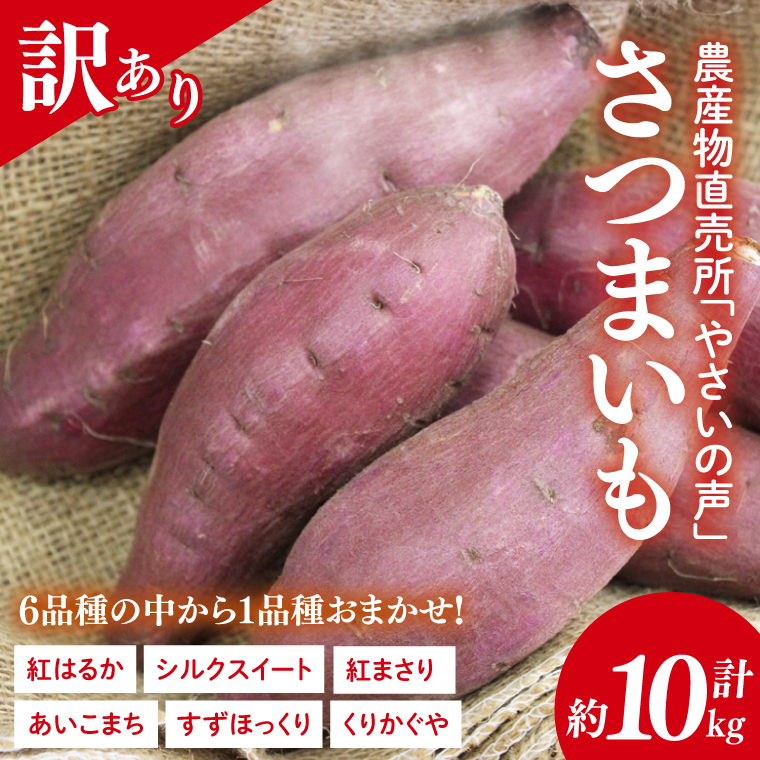 農産物直売所「やさいの声」★訳あり★さつまいも(品種おまかせ) 約10kg｜さつまいも 芋 サツマイモ 訳あり わけあり ワケアリ おまかせ 10kg 紅はるか シルクスイート すずほっくり くりかぐや あいこまち(EK-15)