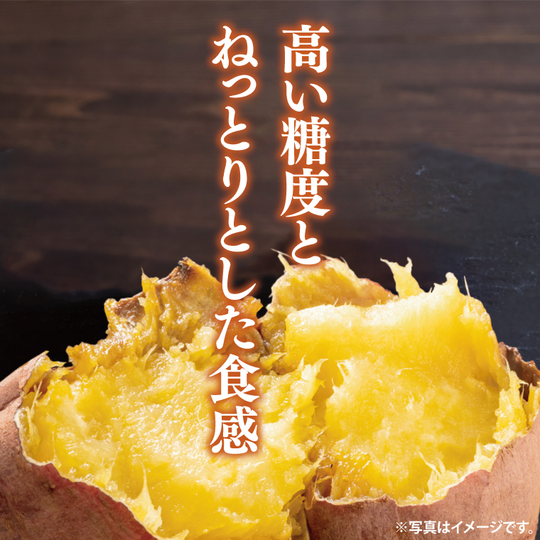 【2026年9月より順次発送】さつまいも(紅はるか) 約5kg｜さつまいも 芋 サツマイモ 紅はるか 先行予約 茨城県 行方市(HP-1)