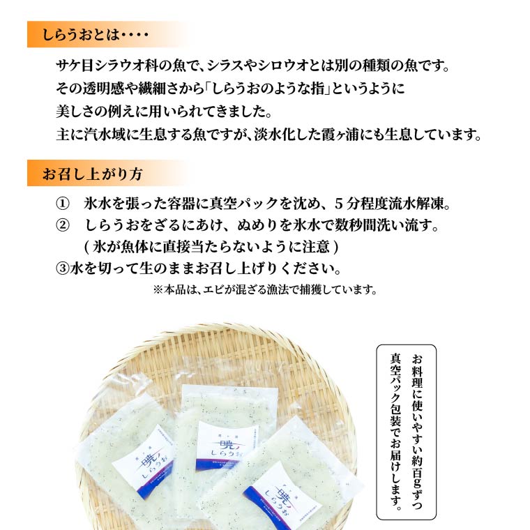 霞ヶ浦　暁のしらうお　約100g×5パック|茨城県 行方市 ふるさと納税 白魚 しらうお 海鮮（GT-6）