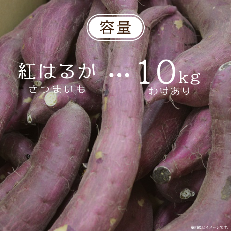 ★訳あり★【2027年1月より順次発送】【訳あり】農産物直売所「やさいの声」熟成紅はるか　洗い　約10kg|さつまいも サツマイモ 紅はるか 熟成 洗い 行方市 ふるさと納税(EK-13)