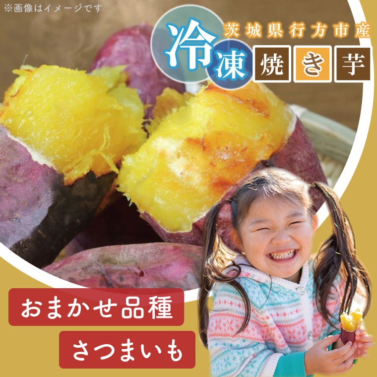 ★訳あり★紅はるか冷凍焼き芋約3kg＋おまかせ品種さつまいも　合計約3.2kg｜さつまいも サツマイモ さつま芋 焼き芋 やきいも 冷凍 冷凍焼き芋 訳あり 訳アリ 紅はるか 茨城県 行方市(EY-25)