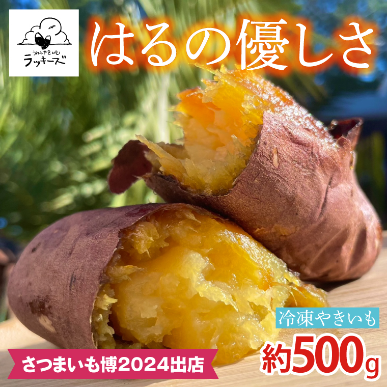 【2026年12月～受付再開】【日本最大級のサツマイモの祭典、さつまいも博2024 出店】はるの優しさ(冷凍やきいも) 約500g｜冷凍 焼芋 焼き芋 やきいも さつまいも さつま芋 熟成 茨城県 行方市 ふるさと納税(GC-1)