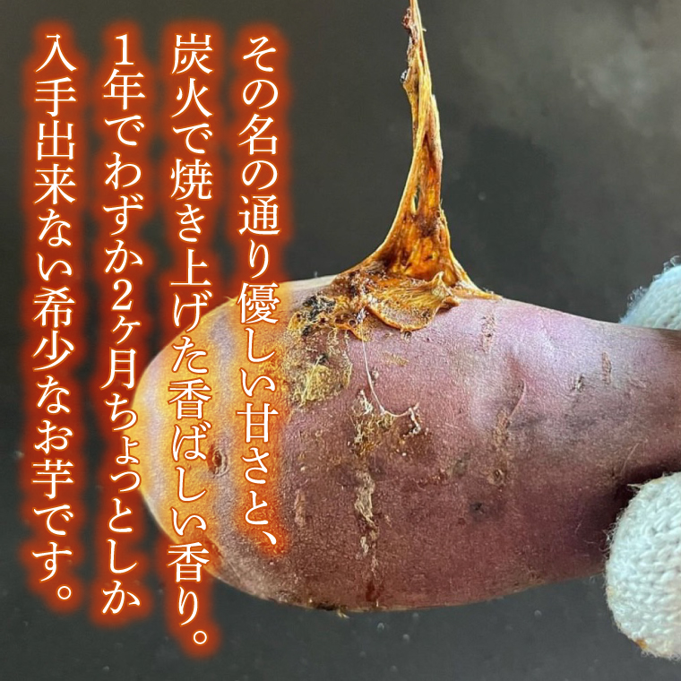 【2026年12月～受付再開】【日本最大級のサツマイモの祭典、さつまいも博2024 出店】はるの優しさ(冷凍やきいも) 約1kg｜冷凍 焼芋 焼き芋 やきいも さつまいも さつま芋 熟成 茨城県 行方市 ふるさと納税(GC-2)