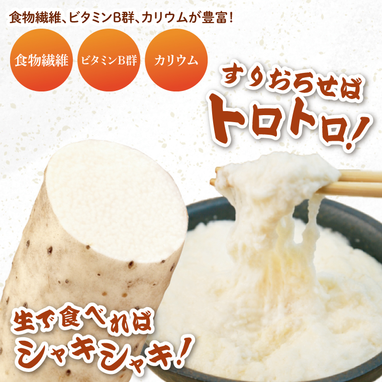 風間商店さんのながいも 約2kg(6～7本)｜ながいも いも 芋 長芋 野菜 やさい 人気 美容 健康 腸活 味噌汁 天ぷら 茨城県 行方市 行方市産(HO-1)