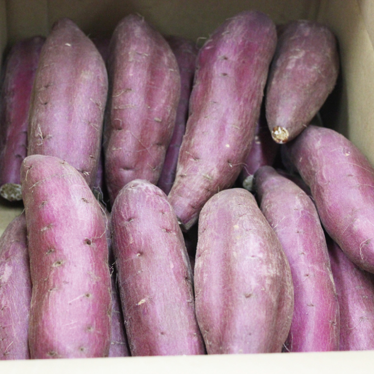 農産物直売所「やさいの声」★訳あり★さつまいも(品種おまかせ) 約5kg｜さつまいも 芋 サツマイモ 訳あり わけあり ワケアリ おまかせ 5kg 紅はるか シルクスイート すずほっくり くりかぐや あいこまち(EK-14)
