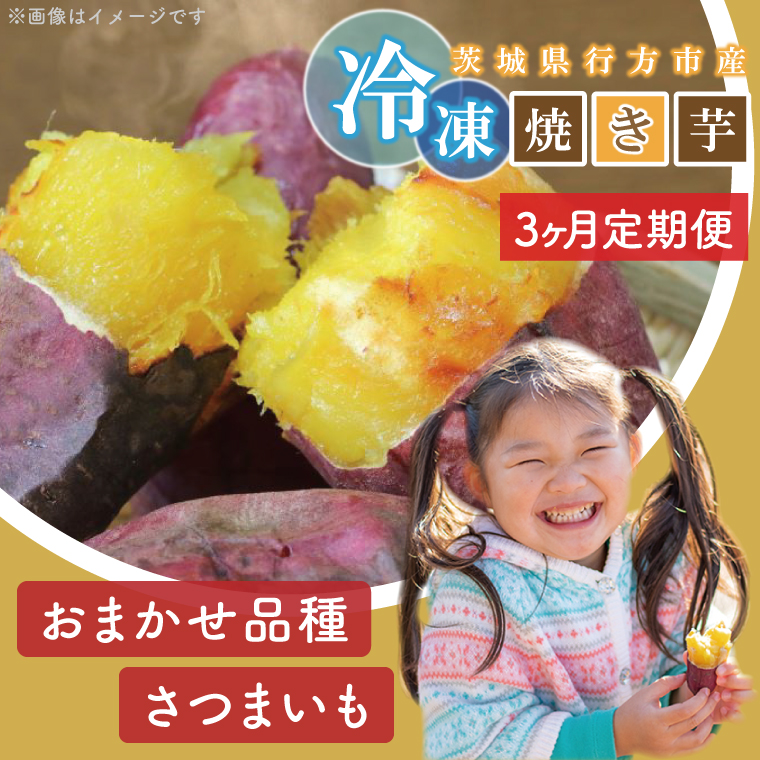 【3ヶ月定期便】★訳あり★紅はるか冷凍焼き芋約1.2kg＋おまかせ品種さつまいも　合計約1.4kg（EY-32）