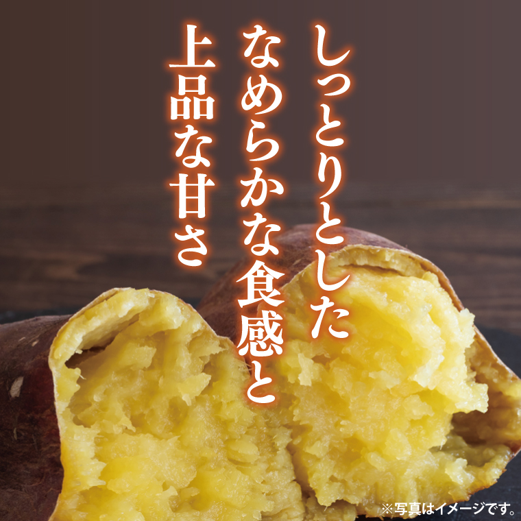 【2026年9月より順次発送】さつまいも(シルクスイート) 約5kg｜さつまいも 芋 サツマイモ シルクスイート 先行予約 茨城県 行方市(HP-2)