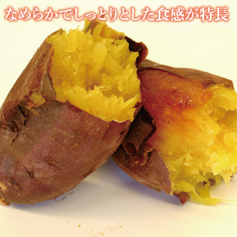 【2027年2月より発送】【訳あり】行方かんしょ「紅まさり」さつまいも約5kg（洗い・不揃い・C品）｜さつまいも サツマイモ さつま芋 お芋 紅まさり 訳あり わけあり 訳アリ 行方かんしょ 茨城県 行方市(AE-110)