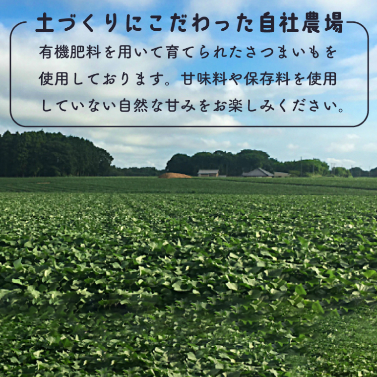 DK-4　【芋屋久兵衛】冷凍焼き芋 500ｇ×4袋
