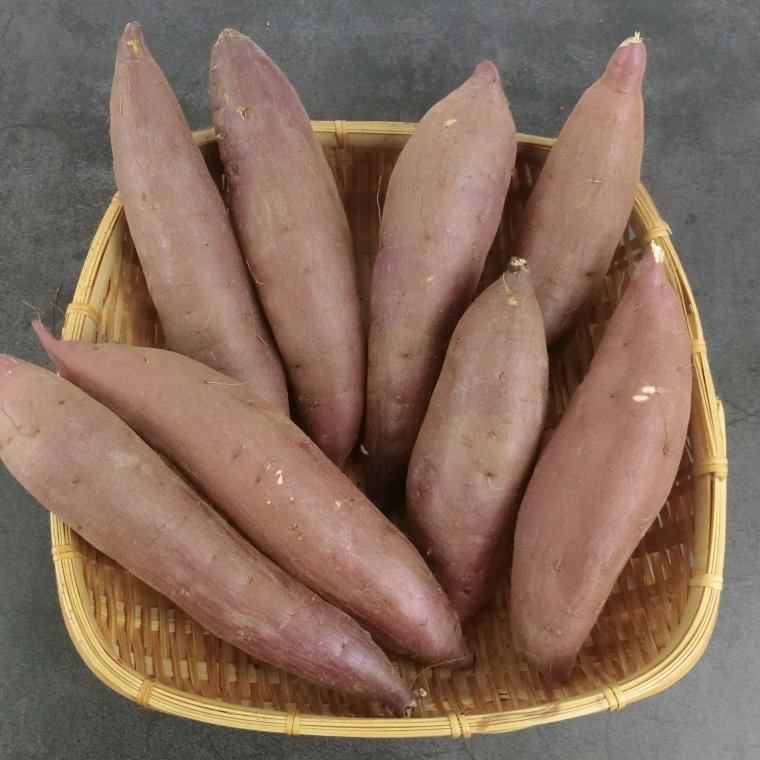 【2027年1月より順次発送】仁平さんの熟成紅はるか 約5kg(Mサイズ・洗い)｜さつまいも サツマイモ さつま芋 いも 紅はるか 熟成さつまいも 熟成 茨城県 行方市(CH-3)