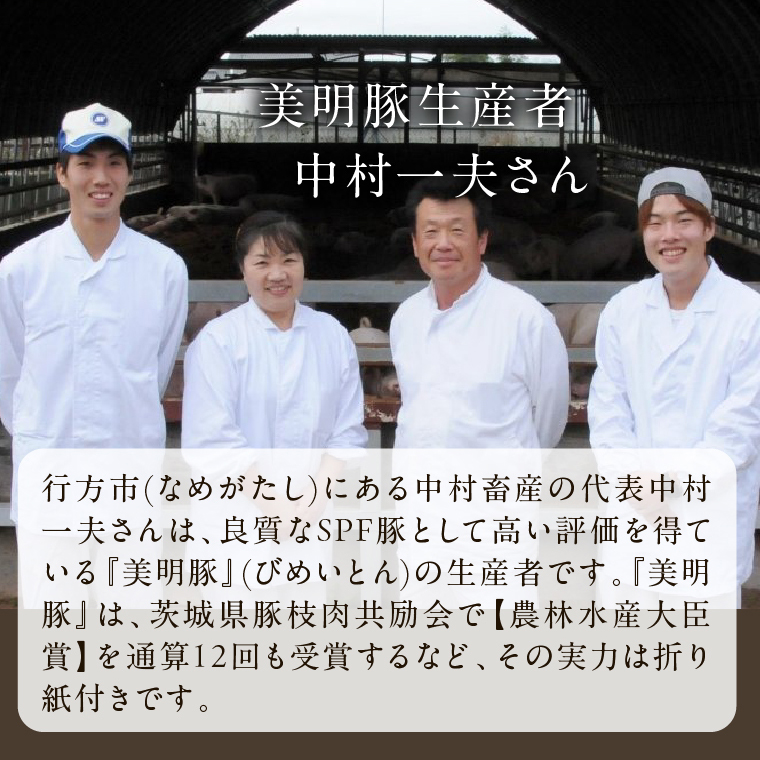 【2026年8月より順次発送】焼売 美明豚「びめいとん」のジューシー焼売2パック（30g×20個×2袋）｜シュウマイ 焼売 美明豚 びめいとん 肉 肉加工品 豚肉 お肉 ジューシー 茨城県 行方市(HJ-1-1)