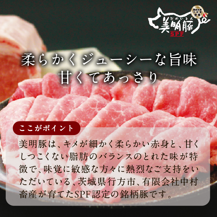 【2026年8月より順次発送】焼売 美明豚「びめいとん」のジューシー焼売2パック（30g×20個×2袋）｜シュウマイ 焼売 美明豚 びめいとん 肉 肉加工品 豚肉 お肉 ジューシー 茨城県 行方市(HJ-1-1)
