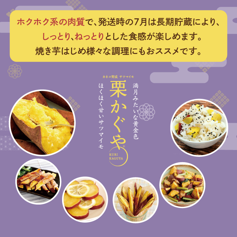 【2027年7月より順次発送】希少な新品種！７月限定「行方の黄福(栗かぐや)」さつまいも 約10kg｜さつまいも サツマイモ さつま芋 お芋 希少 新品種 栗かぐや 先行予約 茨城県 行方市(AE-89)