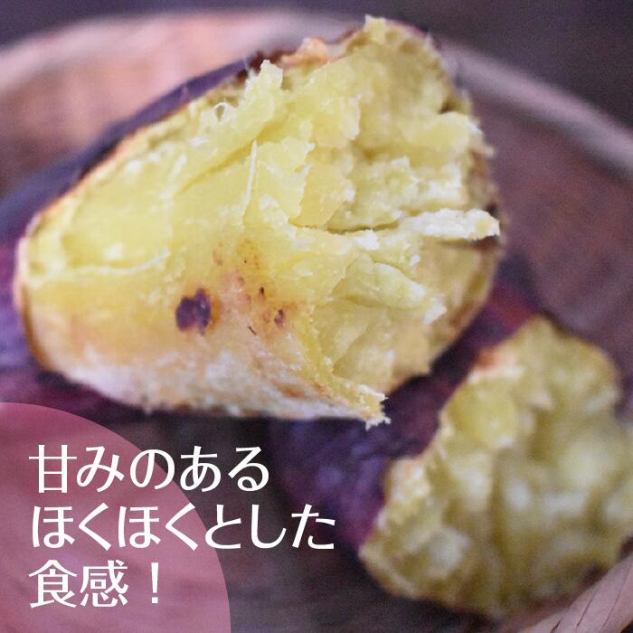 2025年度産 ホクホクで甘いさつまいも すずほっくり 約2kg｜さつまいも 芋 お芋 すずほっくり 渋谷農園 茨城県 行方市(BZ-55)