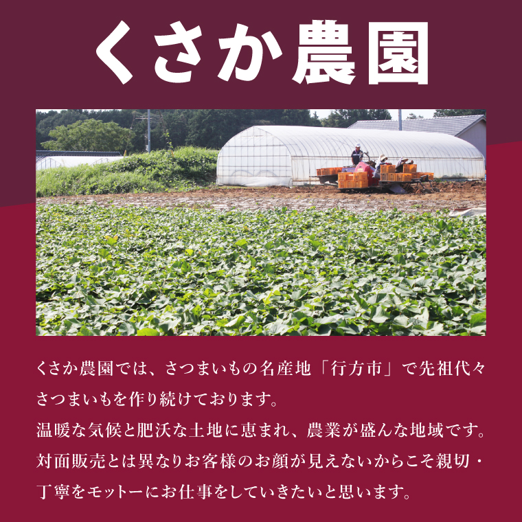 茨城県行方市特産紅はるか 2Sサイズ(A品・B品ミックス) 約10kg｜さつまいも 紅はるか(FU-5)