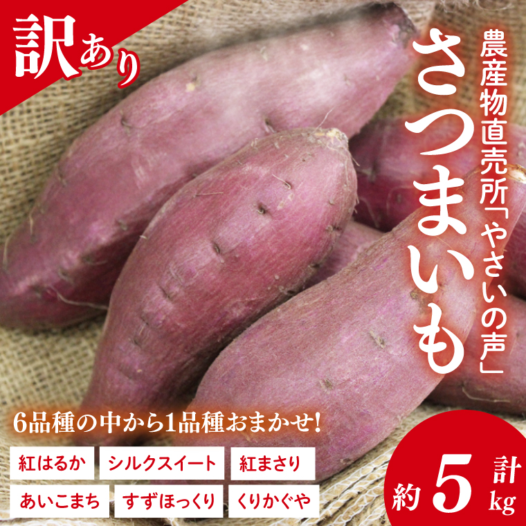 農産物直売所「やさいの声」★訳あり★さつまいも(品種おまかせ) 約5kg｜さつまいも 芋 サツマイモ 訳あり わけあり ワケアリ おまかせ 5kg 紅はるか シルクスイート すずほっくり くりかぐや あいこまち(EK-14)
