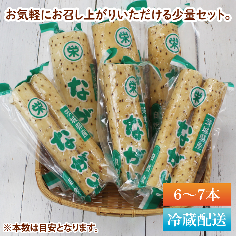 風間商店さんのながいも 約2kg(6～7本)｜ながいも いも 芋 長芋 野菜 やさい 人気 美容 健康 腸活 味噌汁 天ぷら 茨城県 行方市 行方市産(HO-1)