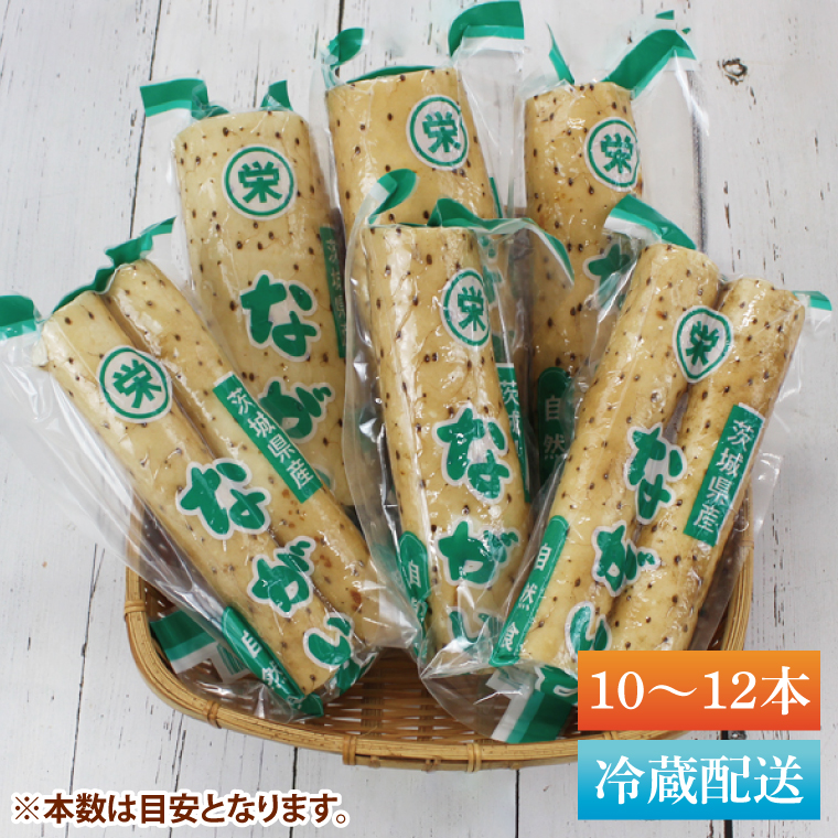 風間商店さんのながいも 約5kg(10～12本)｜ながいも いも 芋 長芋 野菜 やさい 人気 美容 健康 腸活 味噌汁 天ぷら 茨城県 行方市 行方市産(HO-2)