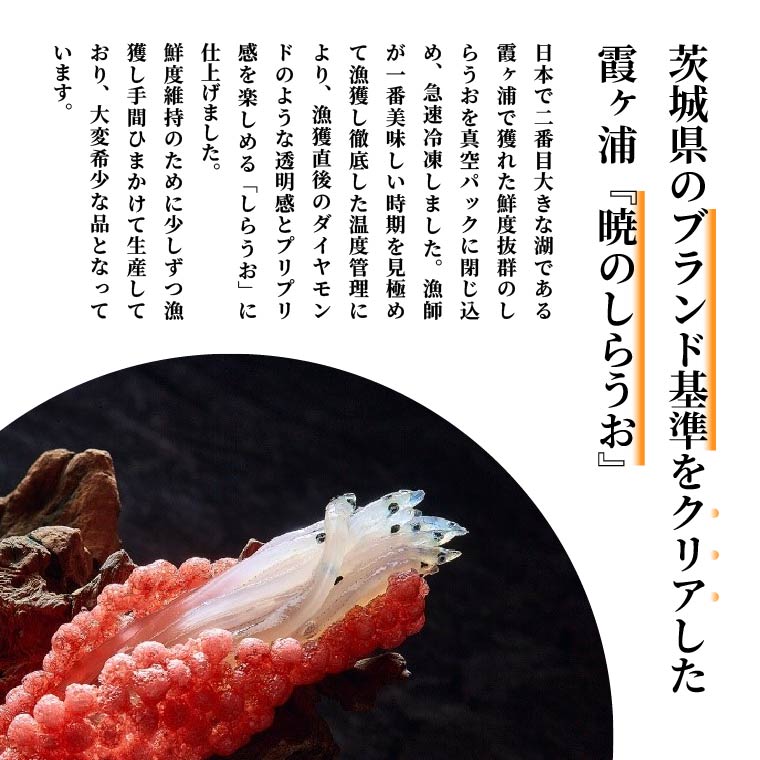 霞ヶ浦　暁のしらうお　約100g×5パック|茨城県 行方市 ふるさと納税 白魚 しらうお 海鮮（GT-6）