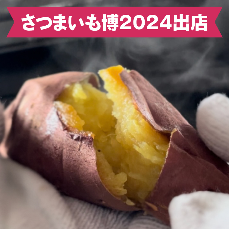 【2026年12月～受付再開】【日本最大級のサツマイモの祭典、さつまいも博2024 出店】はるの優しさ(冷凍やきいも) 約500g｜冷凍 焼芋 焼き芋 やきいも さつまいも さつま芋 熟成 茨城県 行方市 ふるさと納税(GC-1)