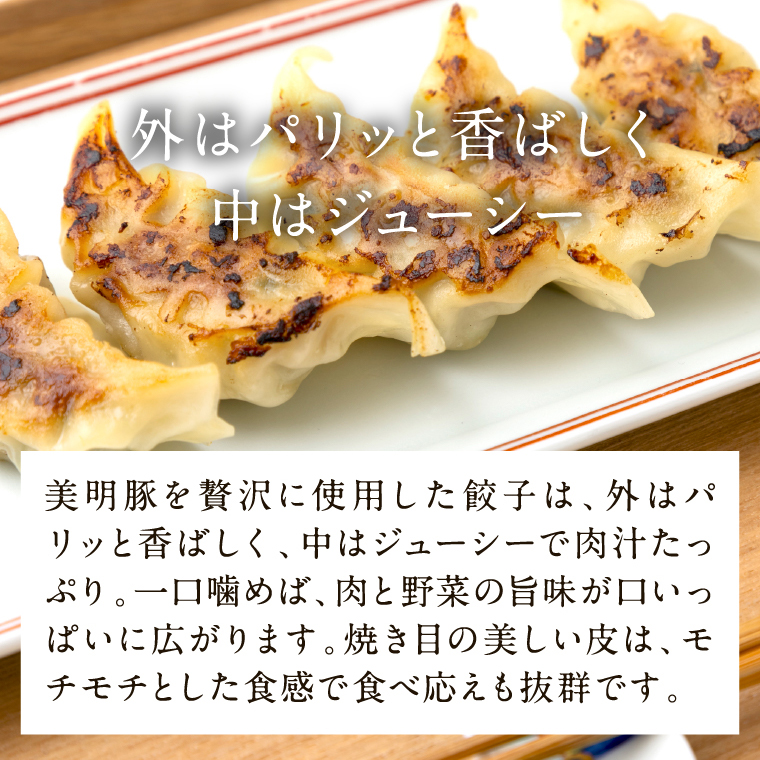 美明豚「びめいとん」のジューシー餃子 2パック(30個入り×2袋)｜餃子 ぎょうざ ギョウザ 美明豚 びめいとん 肉 肉加工品 豚肉 お肉 ジューシー 茨城県 行方市(HJ-2)