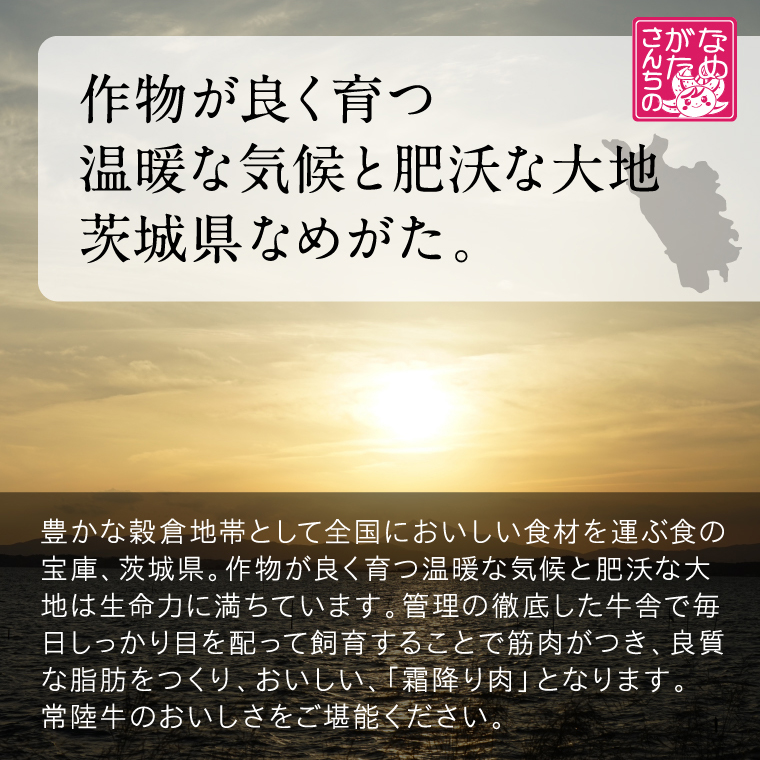 【数量限定】 牛丼の具 5袋｜牛丼 お肉 常陸牛 ブランド 贅沢 簡単 茨城県 行方市(CU-321)