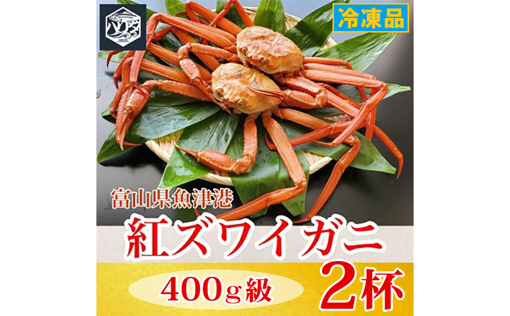 【冷凍】自社漁船直送！魚卸問屋の紅ズワイガニ 400g級×2ハイセット ※2026年9月～発送