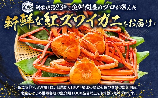 【冷蔵】自社漁船直送！魚卸問屋の紅ズワイガニ 1kg以上×2ハイセット ※2026年9月～発送