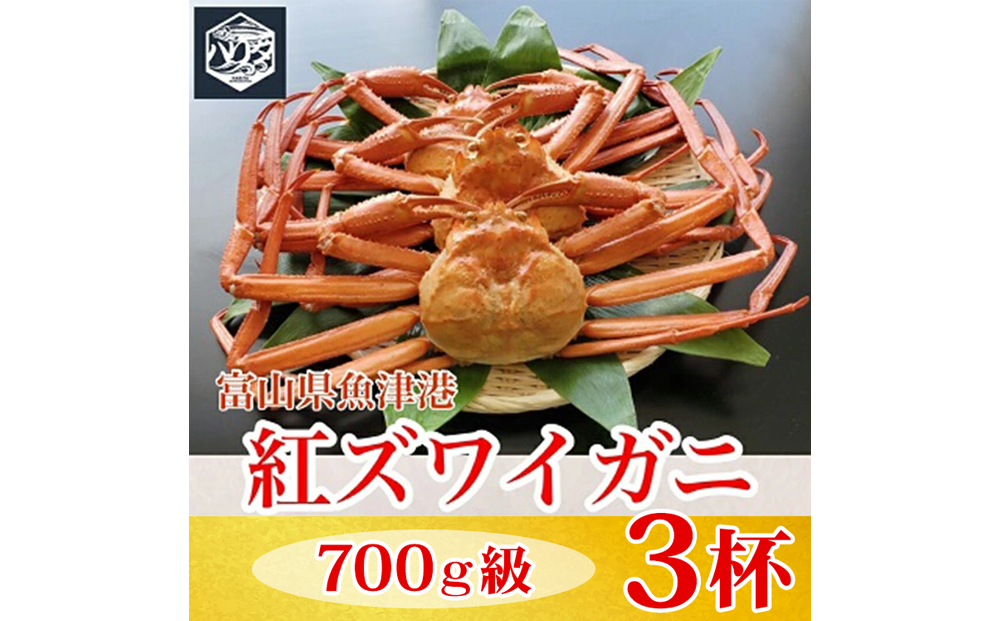 【冷蔵】自社漁船直送！魚卸問屋の紅ズワイガニ 700g級×3ハイセット ※2026年9月～発送