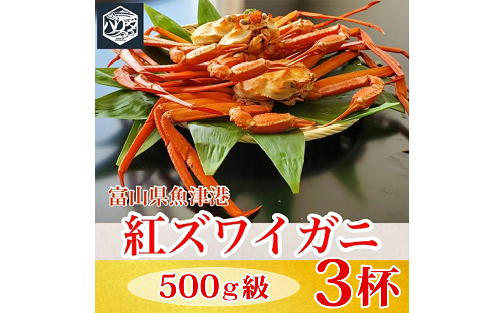 【冷蔵】自社漁船直送！魚卸問屋の紅ズワイガニ 500g級×3ハイセット ※2026年9月～発送