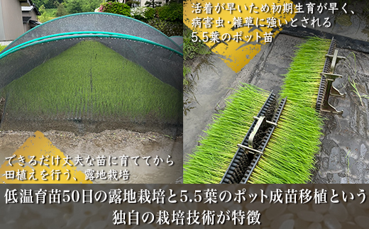 【早期予約】【12ヶ月定期便】【令和8年度産米】尾谷農園 自然栽培米コシヒカリ 玄米10kg ※2026年10月～発送
